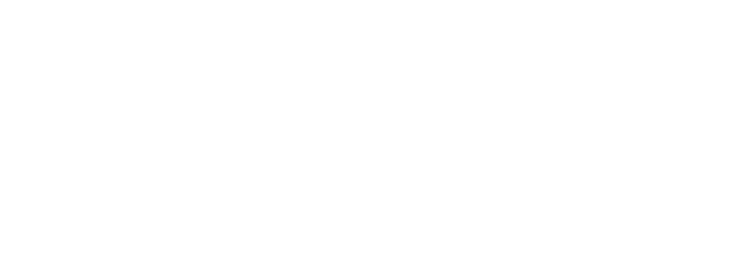 American Planning Association logo.